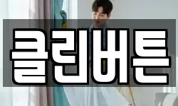 클린버튼