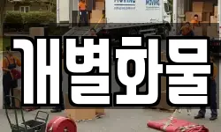 개별화물