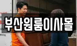 부산원룸이사몰