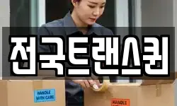 전국트랜스퀸