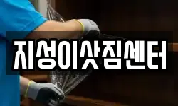 지성이삿짐센터