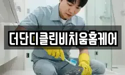 더단디클린비치움홈케어