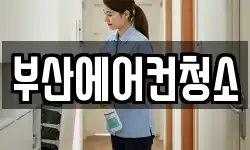 부산광역시 서구 청소,입주청소,사무실청소,에어컨청소