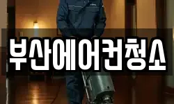 부산광역시 서구 서대신동2가 청소,입주청소,사무실청소,에어컨청소