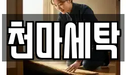 천마세탁