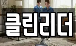 클린리더