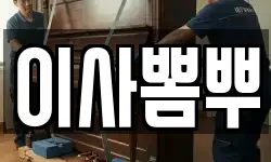 부산광역시 서구 토성동3가 이사,용달이사,포장이사,원룸이사,보관이사
