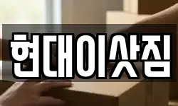 현대이삿짐