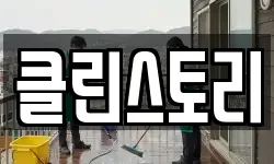 클린스토리