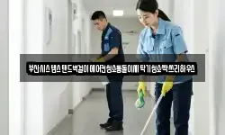부산시스템스탠드벽걸이에어컨청소통돌이세탁기청소싹쓰리하우스