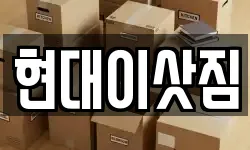 현대이삿짐