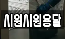 시원시원용달