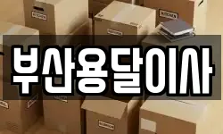 부산용달이사