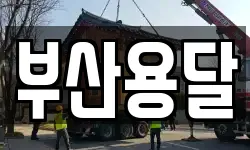 부산용달