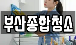 부산종합청소
