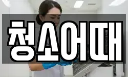 청소어때