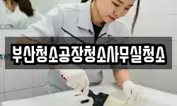 부산청소공장청소사무실청소