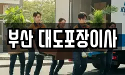 부산광역시 수영구 이사,용달이사,포장이사,원룸이사,보관이사