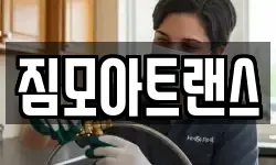 짐모아트랜스
