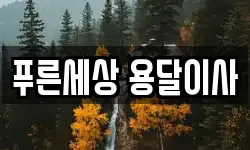 푸른세상 용달이사
