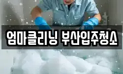 엄마클리닝 부산입주청소