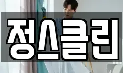정스클린