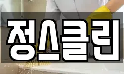정스클린