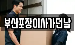 부산광역시 영도구 남항동1가 이사,용달이사,포장이사,원룸이사,보관이사