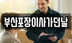 부산포장이사가던날