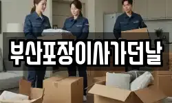 부산포장이사가던날