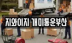 지와이지 개미통운부산