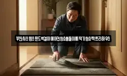 부산시스템스탠드벽걸이에어컨청소통돌이세탁기청소싹쓰리하우스