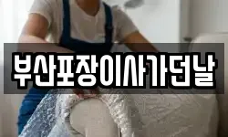 부산포장이사가던날