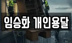 임승화 개인용달