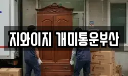 지와이지 개미통운부산