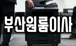 부산원룸이사