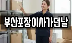 부산포장이사가던날