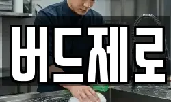 버드제로