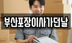 부산포장이사가던날