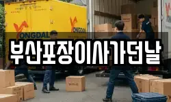 부산포장이사가던날