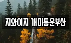 지와이지 개미통운부산