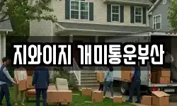지와이지 개미통운부산
