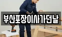 부산포장이사가던날