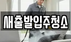 새출발입주청소