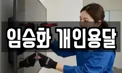 임승화 개인용달