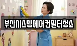 부산광역시 영도구 신선동2가 청소,입주청소,사무실청소,에어컨청소