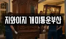 지와이지 개미통운부산