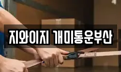 지와이지 개미통운부산