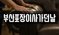 부산포장이사가던날