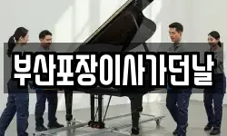 부산포장이사가던날